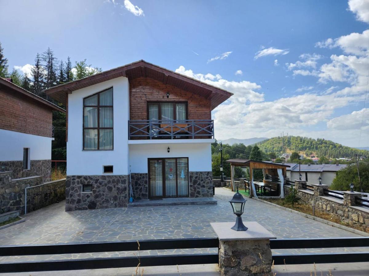 Villa In Mountains Bakuriani Dış mekan fotoğraf