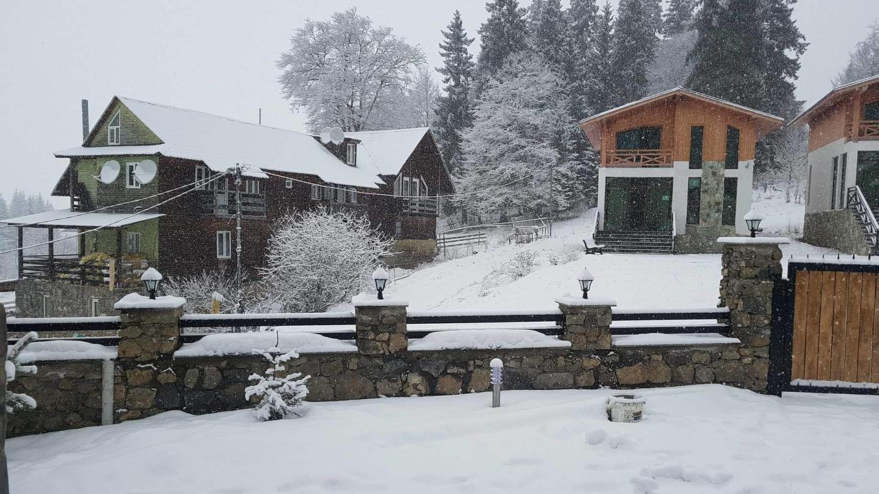 Villa In Mountains Bakuriani Dış mekan fotoğraf