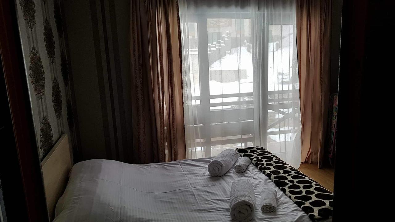 Villa In Mountains Bakuriani Dış mekan fotoğraf