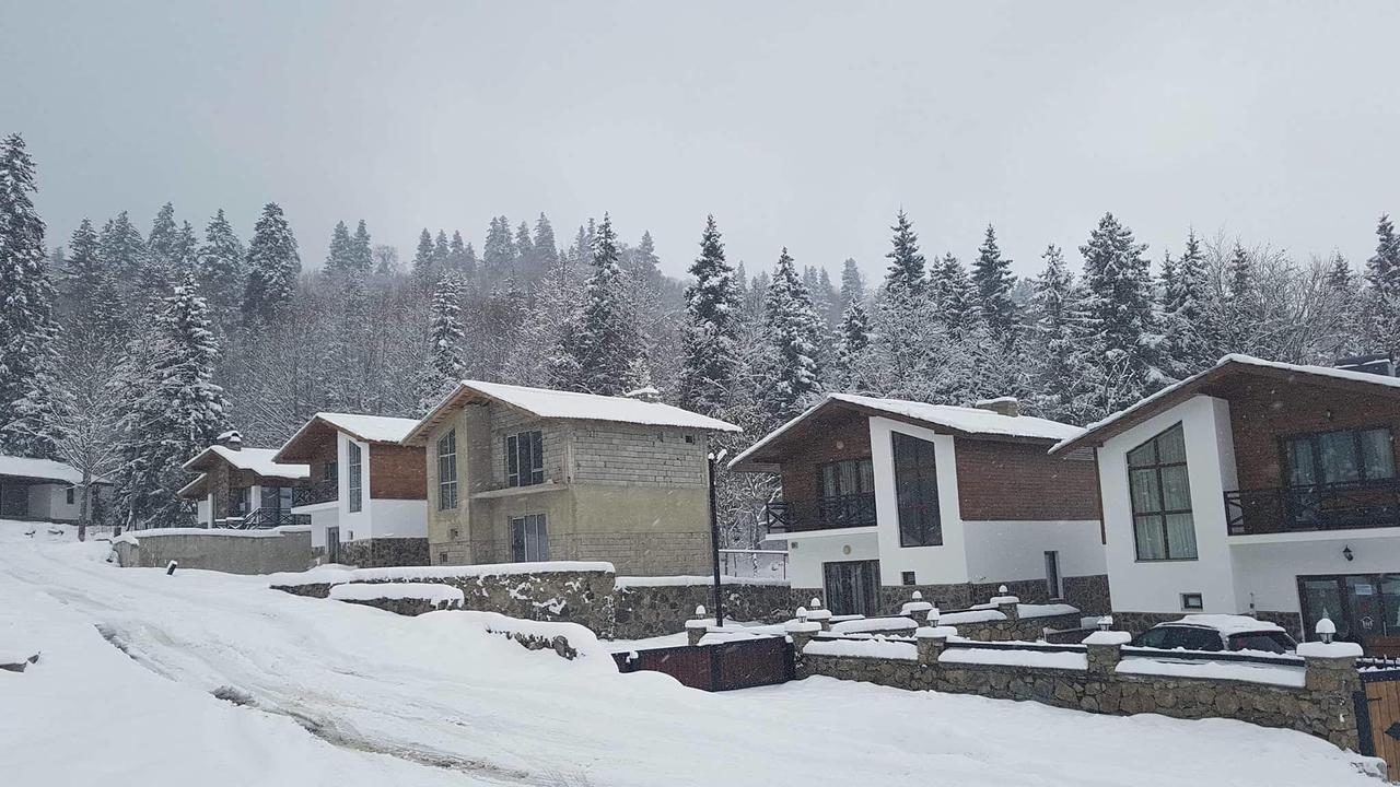 Villa In Mountains Bakuriani Dış mekan fotoğraf
