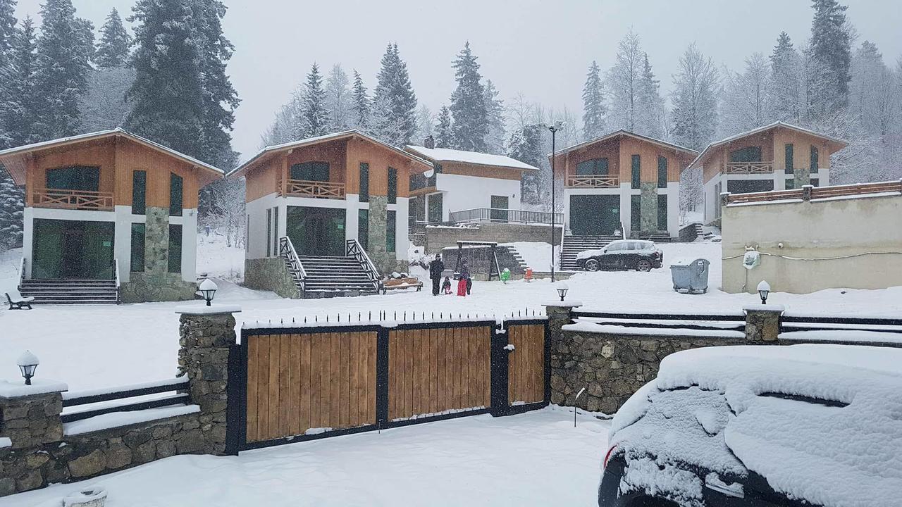 Villa In Mountains Bakuriani Dış mekan fotoğraf