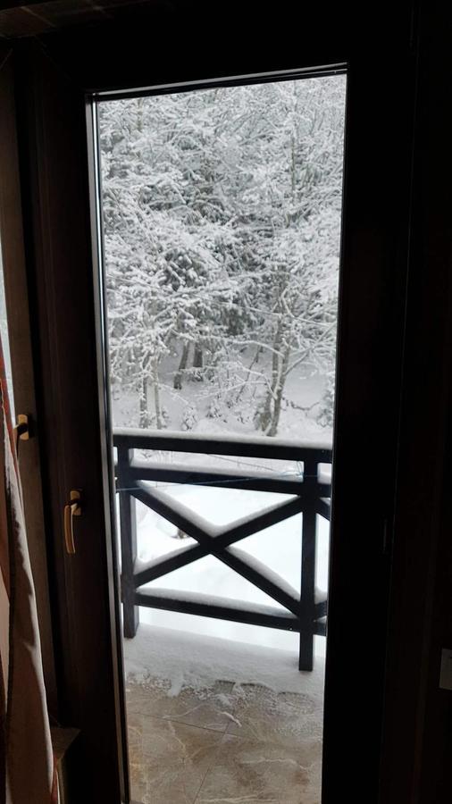 Villa In Mountains Bakuriani Dış mekan fotoğraf