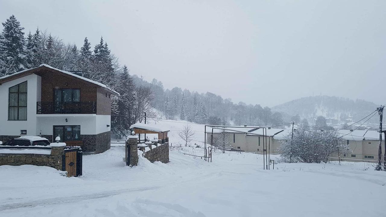 Villa In Mountains Bakuriani Dış mekan fotoğraf