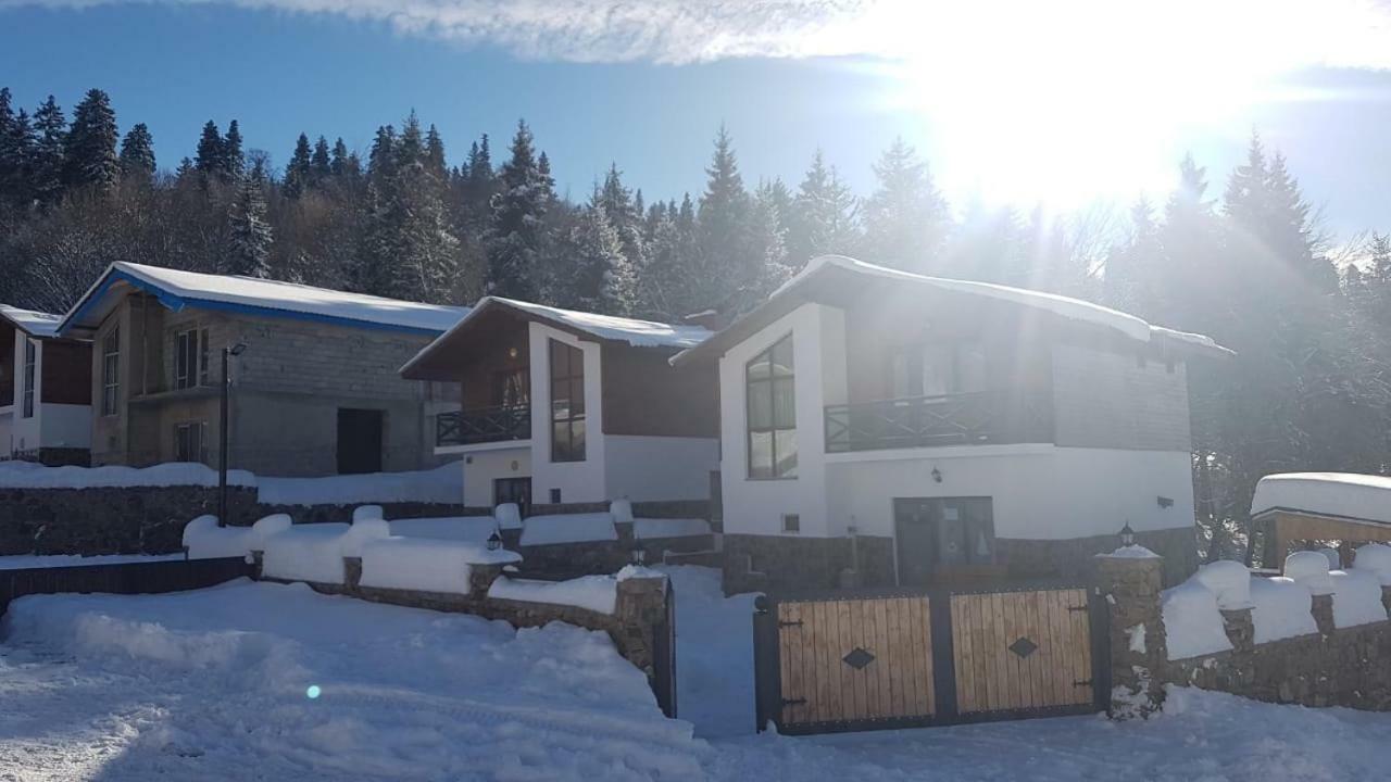 Villa In Mountains Bakuriani Dış mekan fotoğraf